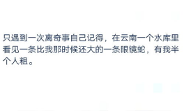 小姐姐梦到我怀孕,小姐姐的怀孕奇梦揭秘